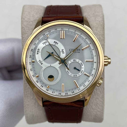 Citizen Eco Drive Moon Phase AP1043-01A